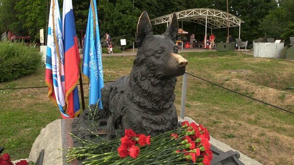 В Музее Победы возложили цветы к памятнику фронтовой собаке. ФАН-ТВ