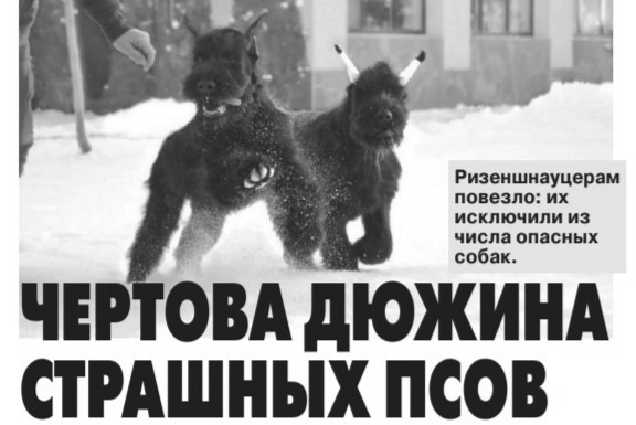 Чертова дюжина страшных псов