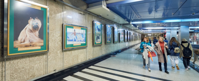 В московском метрополитене открыли фотовыставку «отечественные породы собак»